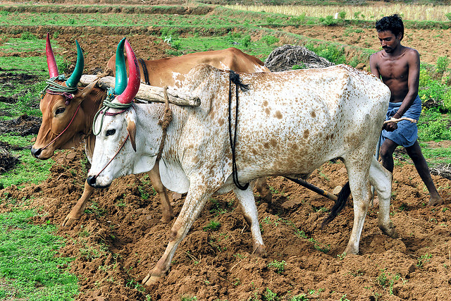 Image result for किसान